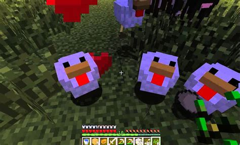 How To Tame Chickens In Minecraft By Dominicks Videos Youtube