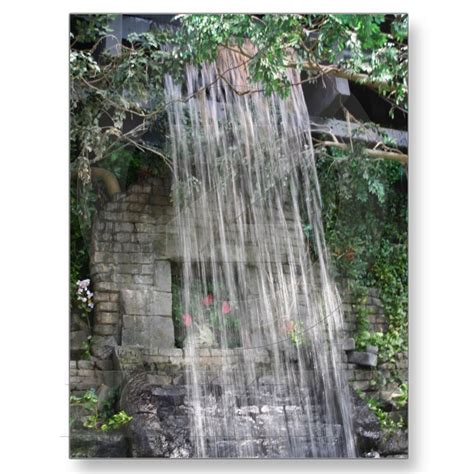 We did not find results for: Waterfall. Rainforest, Cleveland Zoo. | Cleveland zoo ...