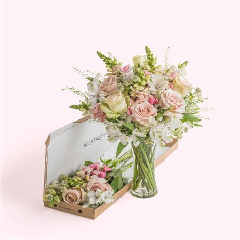 Best flower delivery services for valentine's day 2021. FREE Bloom & Wild Letterbox Bouquet | Gratisfaction UK