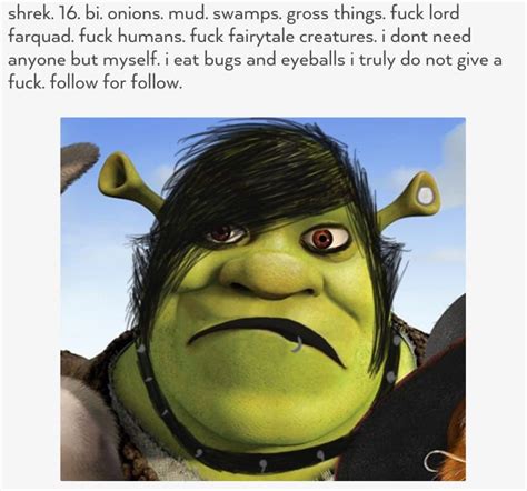 50 Memes Thatll Awaken Your Inner Emo Kid Emo Kid Emo Memes Shrek