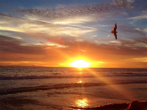 Sunset taken on my first day playing around with my new nikon d60 slr camera. Sunset in Corona Del Mar | Beautiful places, Corona del ...