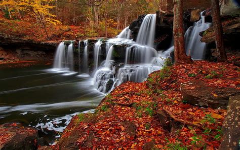 Autumn Cascades Creek Fall Beautiful Leaves Waterfall Cascades