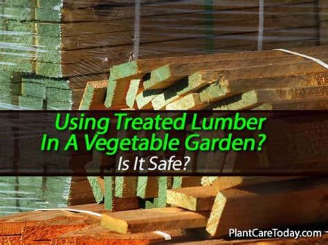 Any pressure treated lumber manufactured for consumer use after that date has no arsenic in it. Should Pressure-Treated Lumber Be Used In A Vegetable Garden?