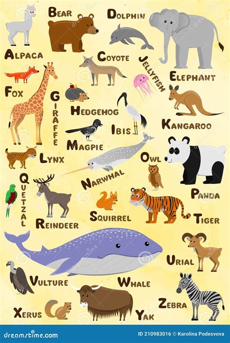 Alphabet And Animal Vector Set Illustration Education For Children