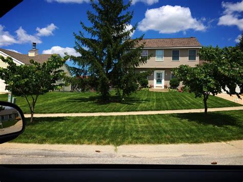 Local Lawn Services In Grand Rapids Lawn Doctor Of Grand Rapids