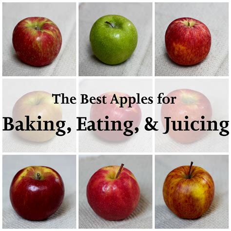 Nicknamed the baker's buddy, rome apples have a sweet and tart flavor that deepens when it is cooked. Foodinary | The Best Apples for Baking, Eating, & Juicing