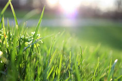 In the drain field, check for odors, squishy ground or water. Signs That Your Septic Tank Is Full | Pickle Septic Tank ...