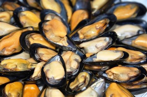 Check spelling or type a new query. Cozze italiane contaminate, contengono saxitossina che ...