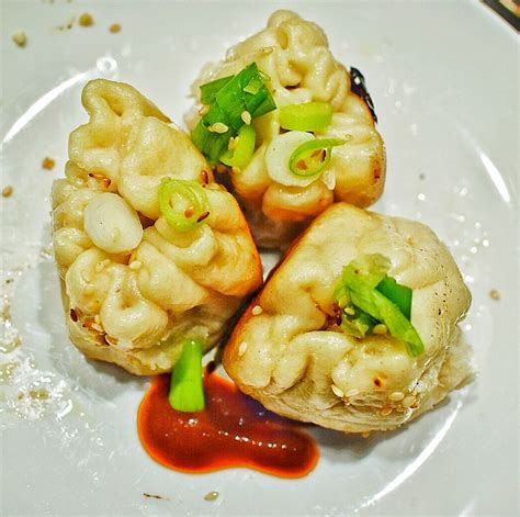 Pan Fried Chinese Dumplings Makergardener