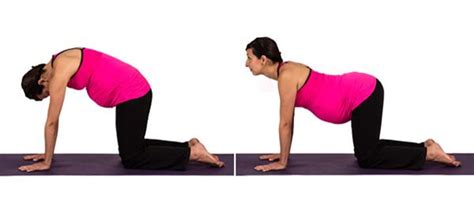 This exercise helps the baby drop away from the lower back. Yoga For Pregnant Women: Poses You Must Include in Your ...