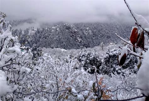 Natural disasters promise climate change: Snowfall in Pictures - The News Himachal