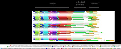 meme conserved amino acid motif analysis motifs in pale color were download scientific diagram