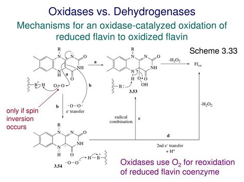 Ppt The Organic Chemistry Of Enzyme Catalyzed Reactions Chapter