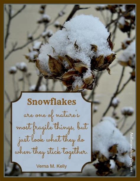 Snowflake Quotes Quotesgram