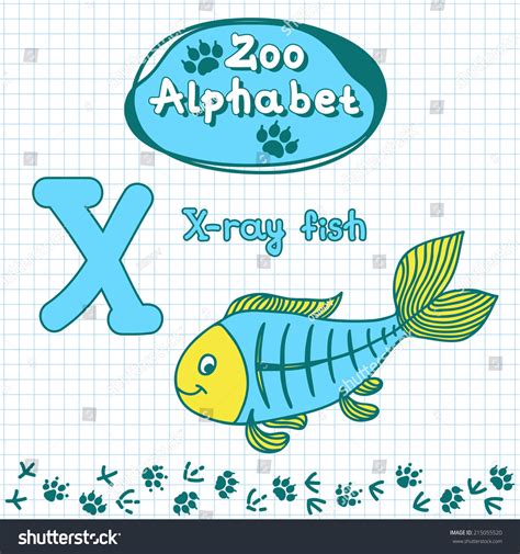 Stay up to date on the latest stock price, chart, news, analysis, fundamentals, trading and investment . Colorful Childrens Alphabet Animals Xray Fish Stock Vector ...