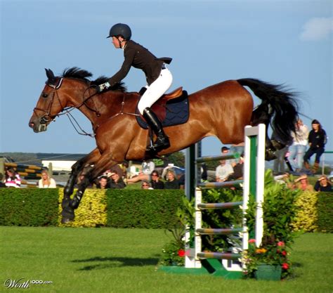 Horse Jumping Worth1000 Contests