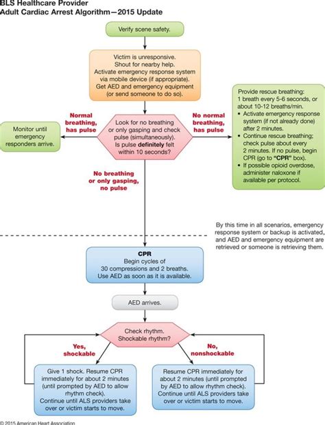 Important Algorithms First10em