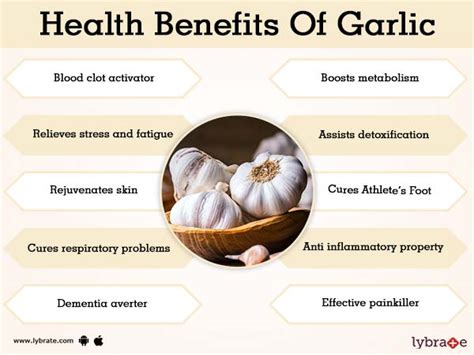 Benefits Of Garlic And Its Side Effects Lybrate