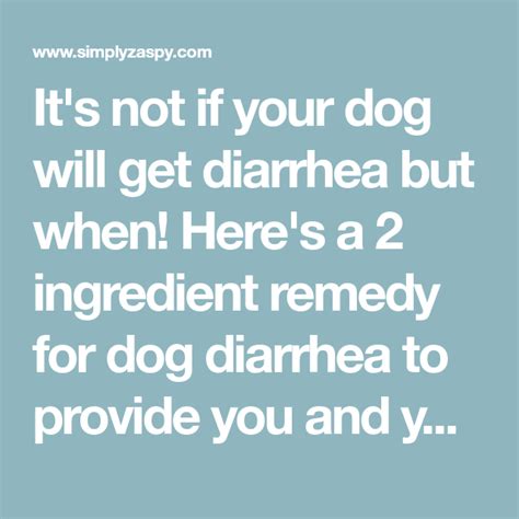 Dog Diarrhea Remedy 2 Ingredients With Images Diarrhea Remedies