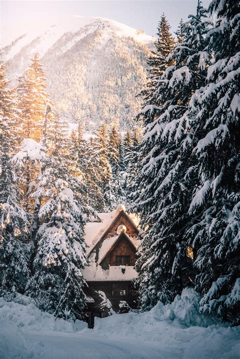winter cabin in the woods snowy cabin cozy log cabin cabins in the woods alaska cabin