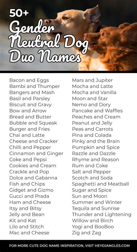200 Best Dog Duo Names Perfect Pair Names For Pets Hey Djangles