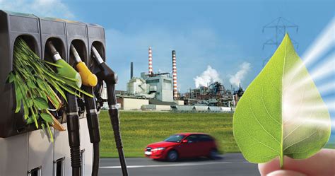 What Is Bioenergy Biofuels