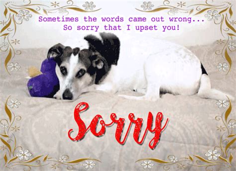 Sorry That I Upset You Free Sorry Ecards Greeting Cards 123 Greetings