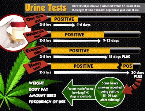 Pot is fat soluble the other drugs are water soluble. Get Marijuana Out Of System Archives - Detox Pills For ...