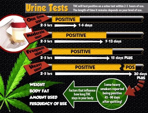 You can do this by using a stash belt and taking the urine. How To Pass A Drug Test - Ultra THC Detox™ | Detox Pills ...