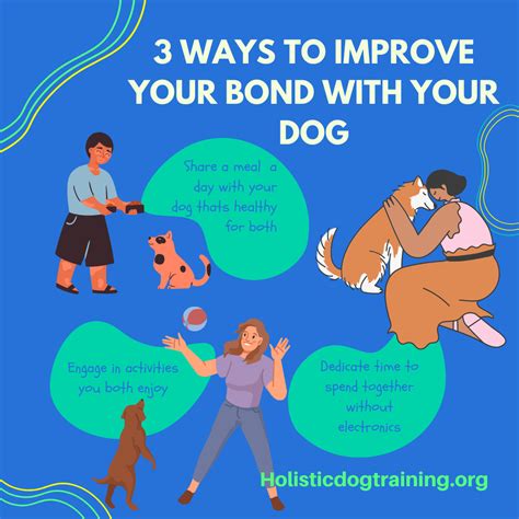 3 Ways To Improve Your Bond With Your Dog — Romans Holistic Dog Training