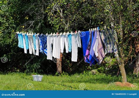 Laundry Hanging On The Clothesline Between Trees And Over A Lawn Stock
