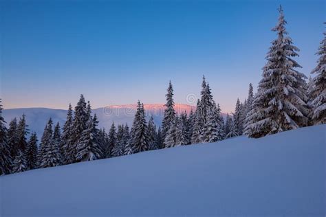 Magic Sunrise In The Winter Mountains After Snowfall Stock Image