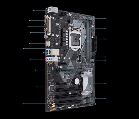 Prime H310 Plus Motherboards Asus Usa