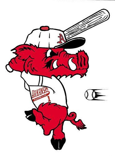 Arkansas was known for its razorback hogs long before the university of arkansas mascot came into being. Batter UP! | Razorback baseball, Arkansas razorbacks ...