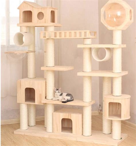 Our Top Picks For Crazy Cool Cat Condos
