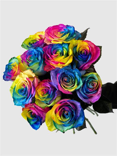 Long Stem Rainbow Roses Terrafolia Flowers