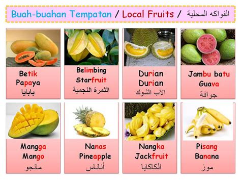 Nama Buah Buahan Bahasa Melayu Ensiklopedia Sayur Sayuran Buah Buahan