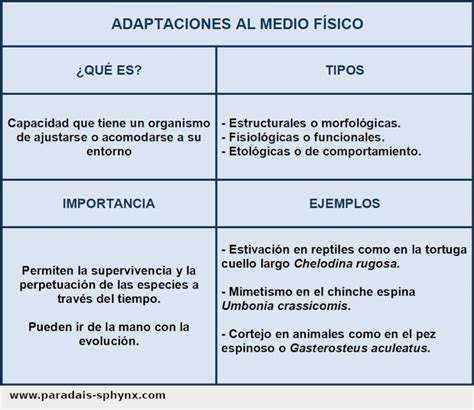 Destruir Tradicional T Clasificacion De Las Adaptaciones De Los Seres