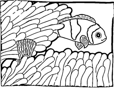 Clownfish, nemo, finding nemo, sea anemones, tropical fish Clown Fish coloring page | SuperColoring.com