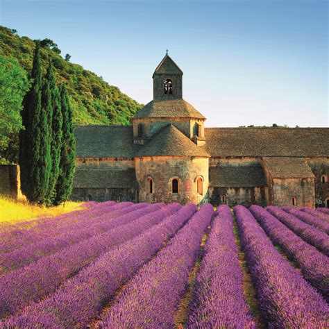 You can help wiktionary by elaborating on the origins of this term. Frankrijk - Provence | OKRA