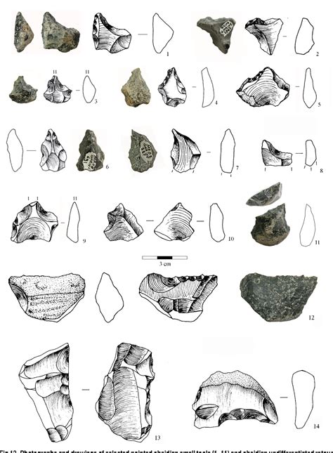 Figure 13 From The Unknown Oldowan 17 Million Year Old Standardized