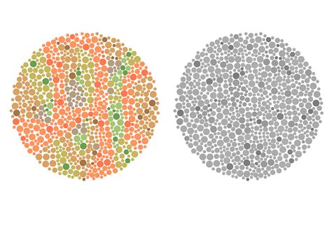 The Full Spectrum Of Color Blindness