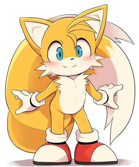 A Cute Tails Miles Tails Prower Personagens De Anime Desenhos Do