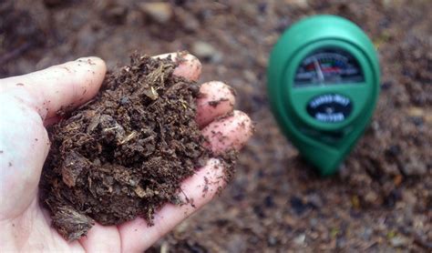 4 Ways To Raise Soil Ph Make It More Alkaline Okra In My Garden