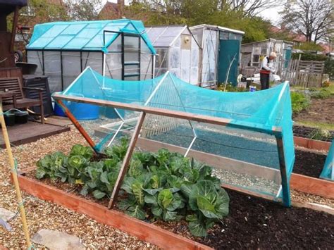 Well, by following this tutorial you can have a beautiful fence that will protect your. netting frame for cabbages | Garden netting, Vegetable ...