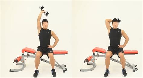 Seated Dumbbell Triceps Extension Bodybuilding Wizard