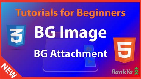 Html5 And Css3 Tutorials For Beginners Css Background Image And