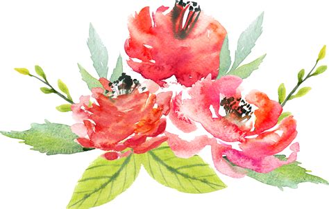 Watercolor Red Flowers At Getdrawings Free Download