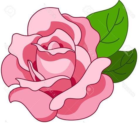 Roses Cartoon Flower Browse 1048 Cartoon Rose Stock Photos And