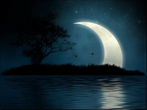 Check spelling or type a new query. 48+ Cool Moon Wallpapers on WallpaperSafari